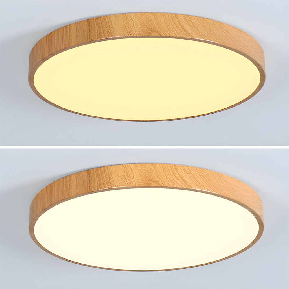 Moderne, beknopte stijl smeedijzeren plafondlamp