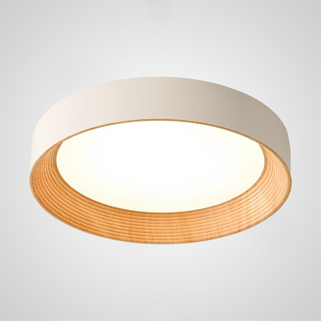 Modern Simple LED Ceiling Light