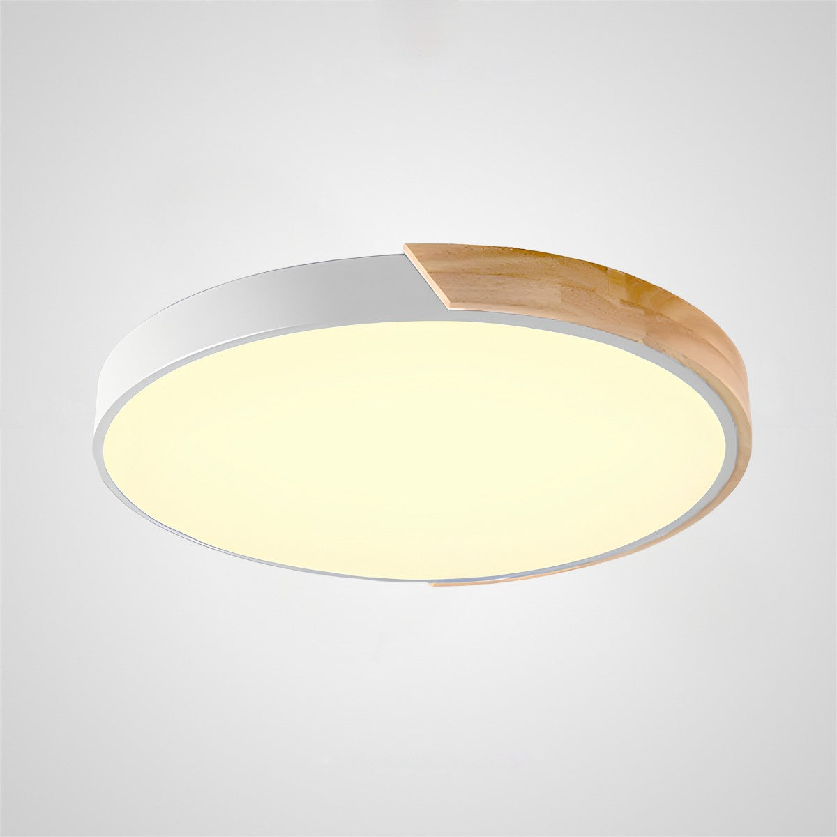 Colorful Simple LED Round Ceiling Lights