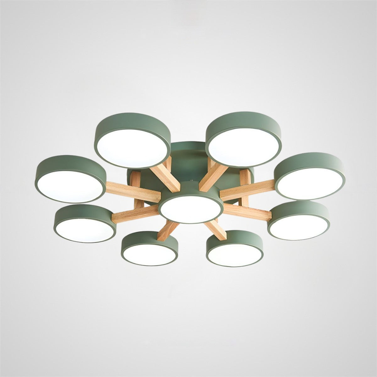 Modern Iron Wood LED Bedroom Ceiling Light