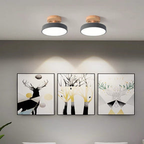 Colorful Semi-flush LED Ceiling Lights