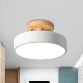 Colorful Semi-flush LED Ceiling Lights