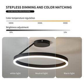 Nordic Minimalist Metal LED Ceiling Light For Livingroom