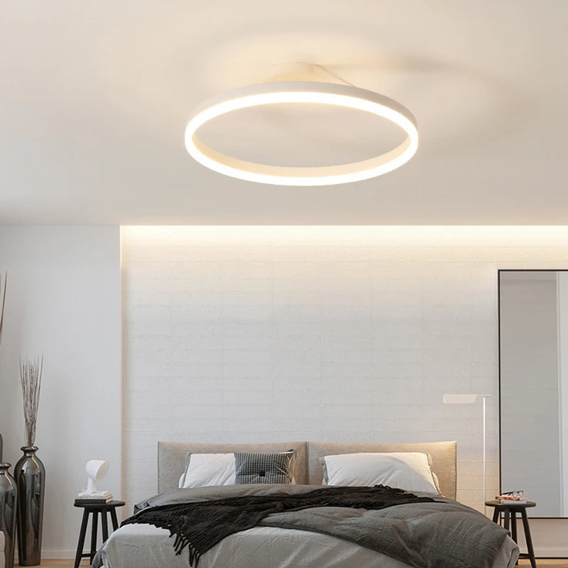 Nordic Minimalist Metal LED Ceiling Light For Livingroom